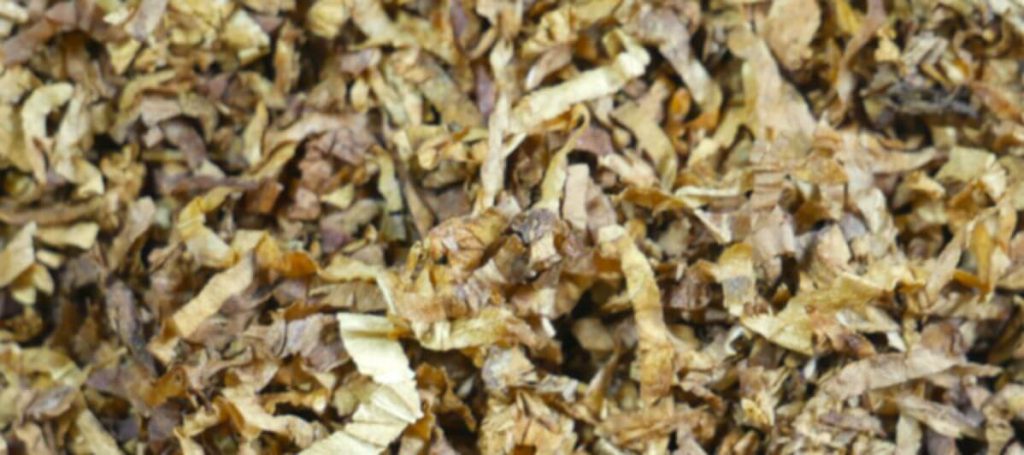 A pile of Burley tobacco leaves